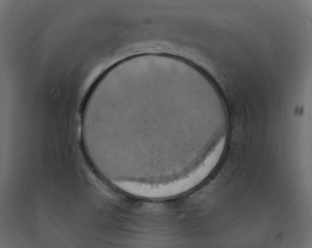 X0000092111509200710101132