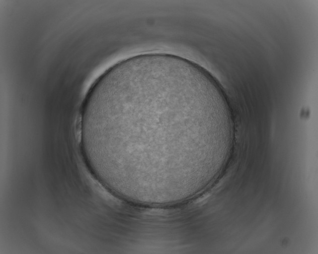 X0000092111510200710101132