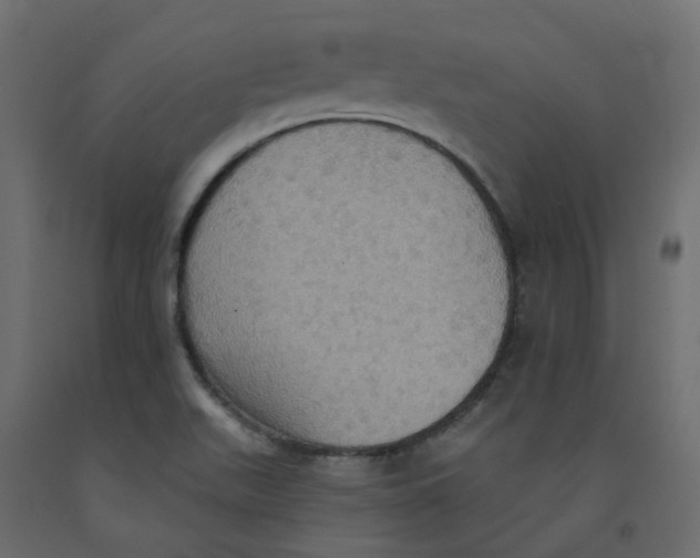 X0000092111511200710101132