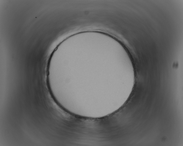 X0000092111512200710101132