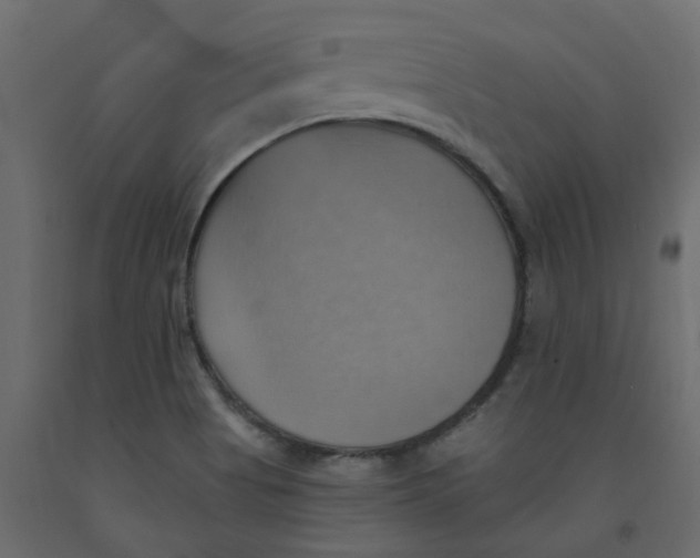 X0000092111513200710101132