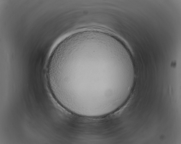 X0000092111514200710101132