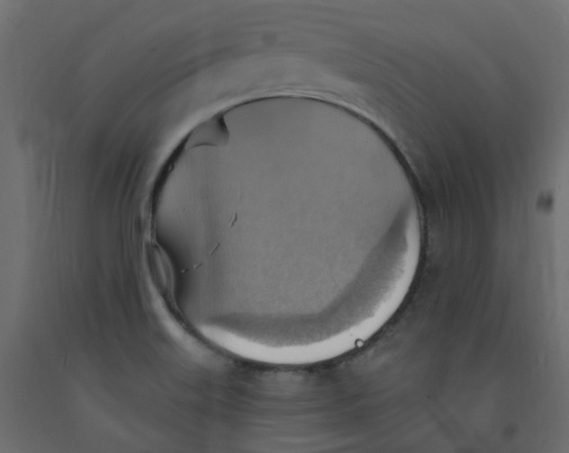 X0000092111515200710101132