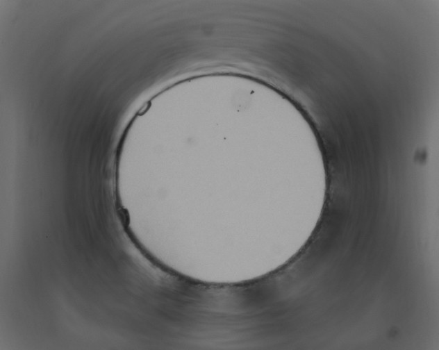 X0000092111516200710101132