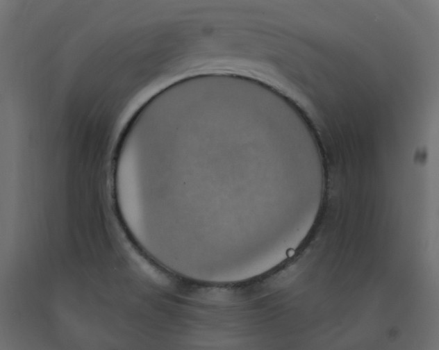 X0000092111517200710101132