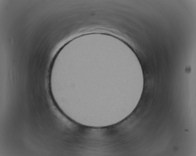 X0000092111518200710101132