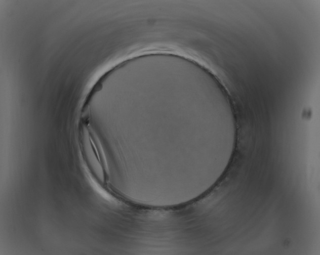 X0000092111519200710101132