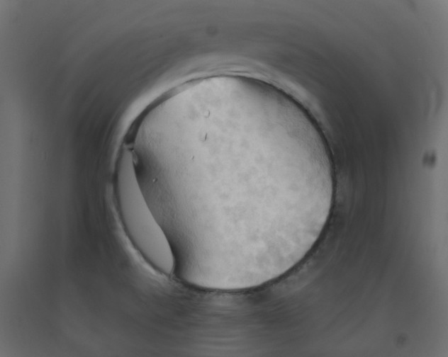 X0000092111520200710101132