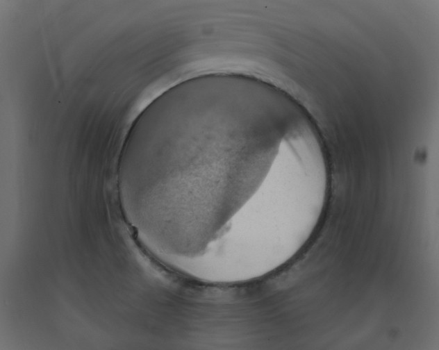 X0000092111521200710101132