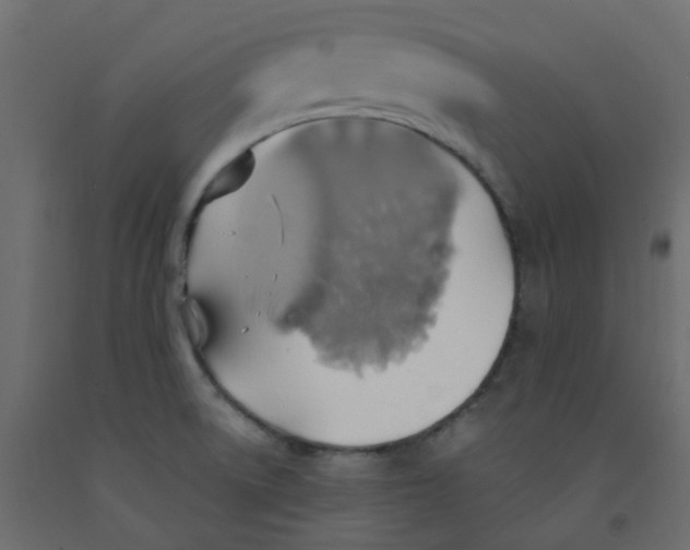 X0000092111522200710101132