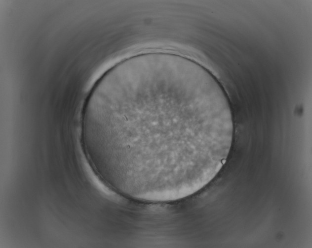 X0000092111523200710101132