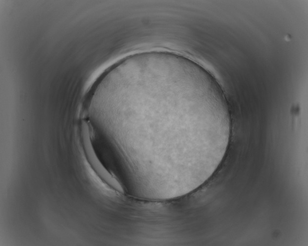 X0000092111524200710101132