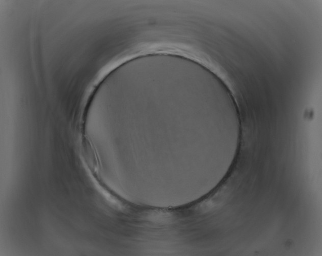 X0000092111525200710101132