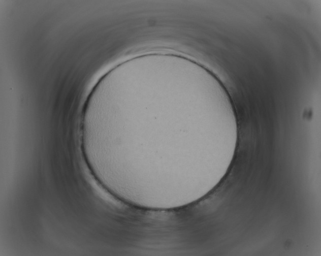 X0000092111526200710101132