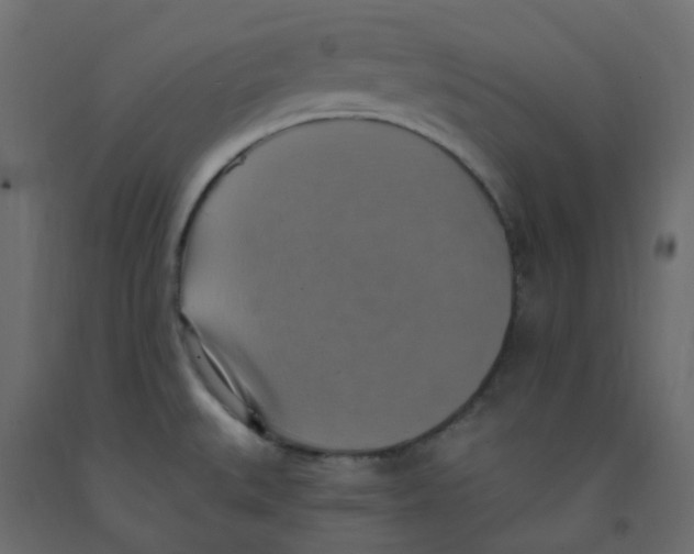 X0000092111527200710101132