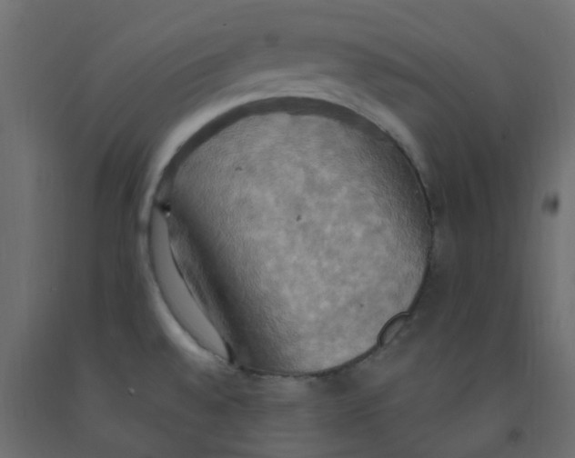 X0000092111528200710101132