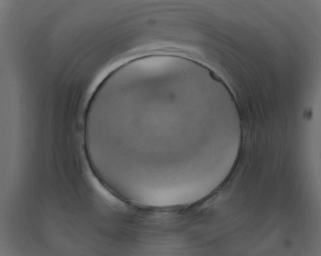 X0000092111531200710101132