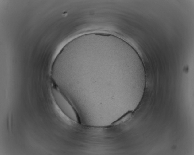 X0000092111532200710101132