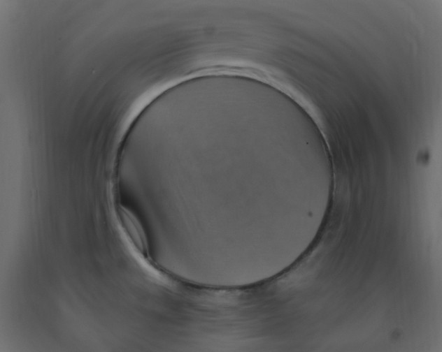 X0000092111533200710101132