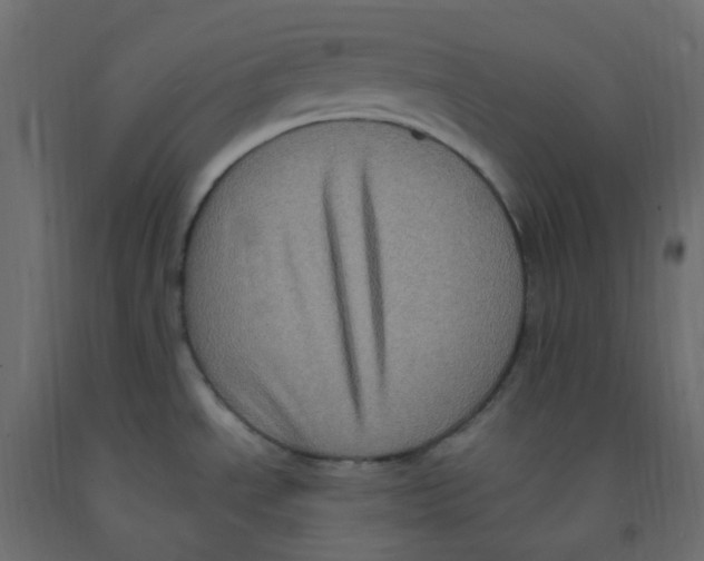 X0000092111534200710101132