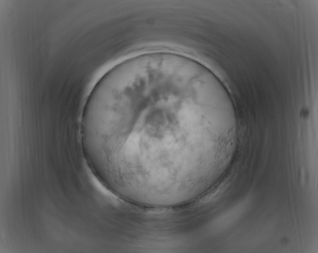 X0000092111535200710101132