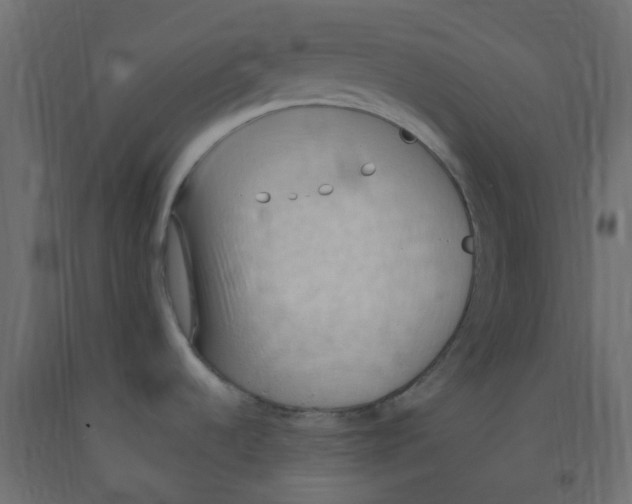 X0000092111536200710101132