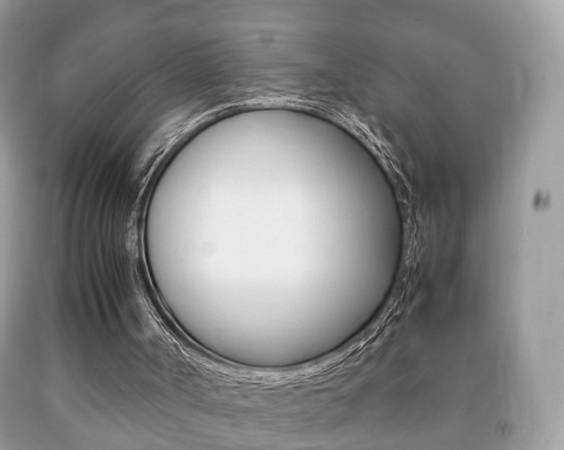 X0000092210002200709140910