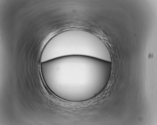 X0000092210003200709140910
