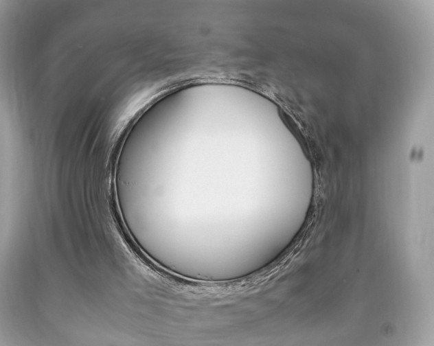 X0000092210005200709140910
