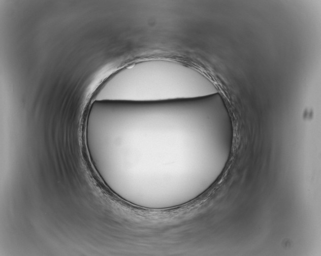 X0000092210006200709140910