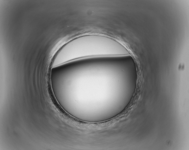 X0000092210007200709140910