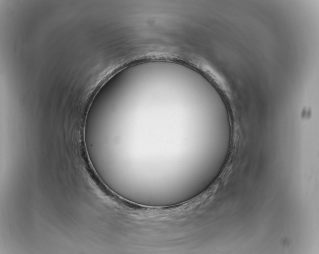 X0000092210009200709140910