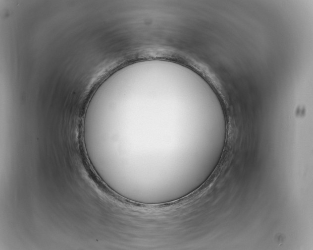X0000092210010200709140910