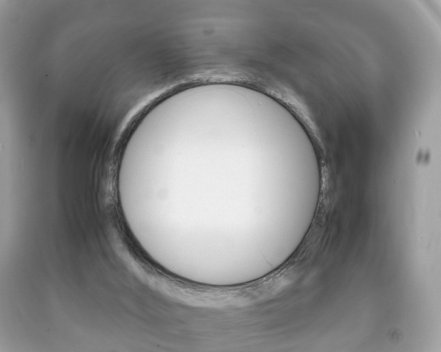 X0000092210012200709140910