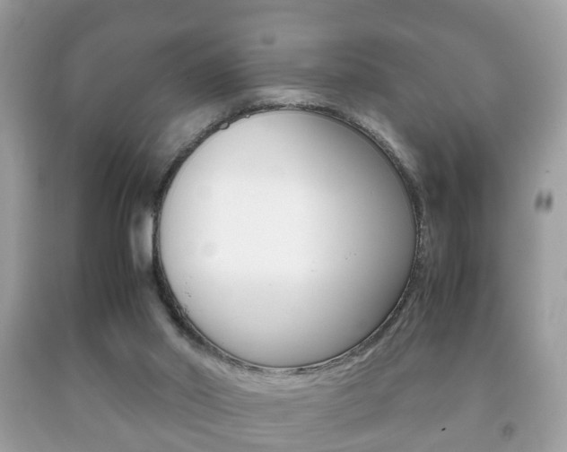 X0000092210014200709140910