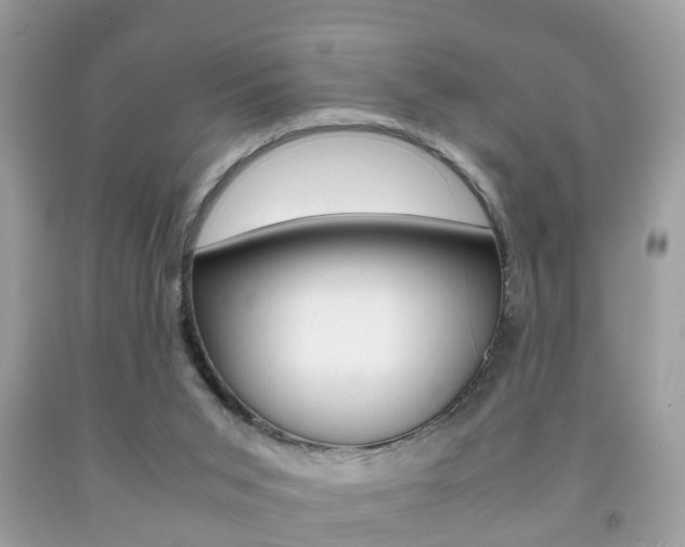 X0000092210015200709140910