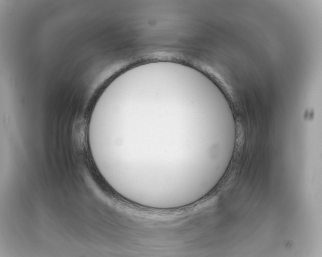 X0000092210016200709140910