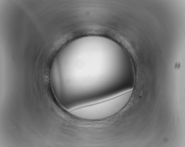 X0000092210017200709140910