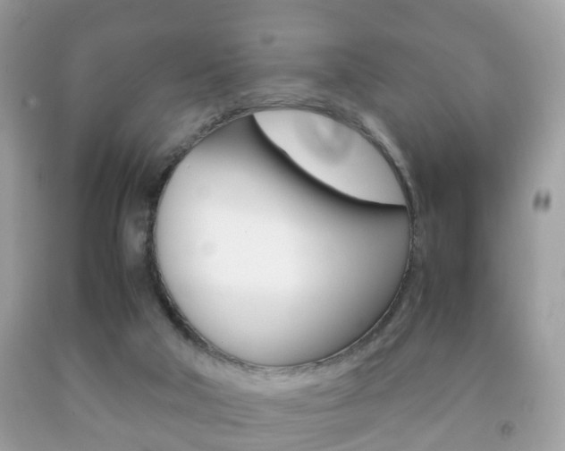X0000092210018200709140910