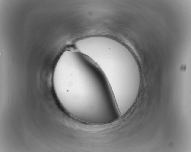 X0000092210019200709140910