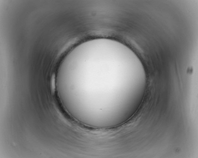 X0000092210020200709140910