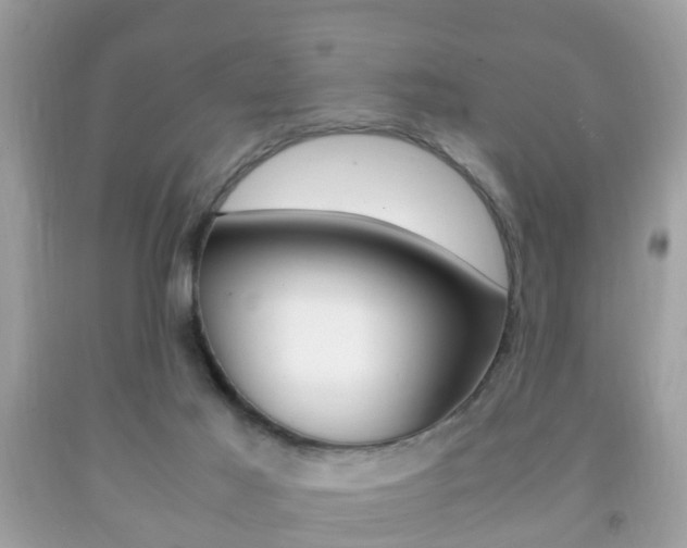 X0000092210021200709140910