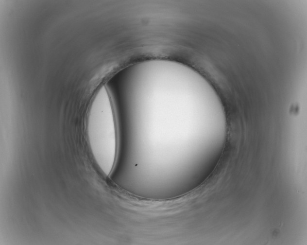 X0000092210023200709140910