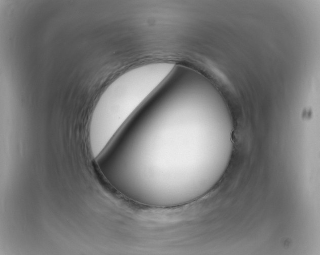 X0000092210025200709140910