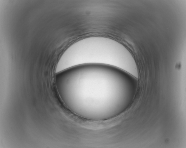 X0000092210029200709140910