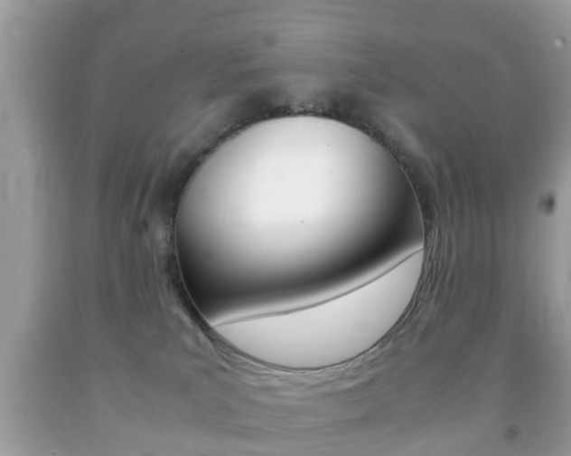 X0000092210039200709140910