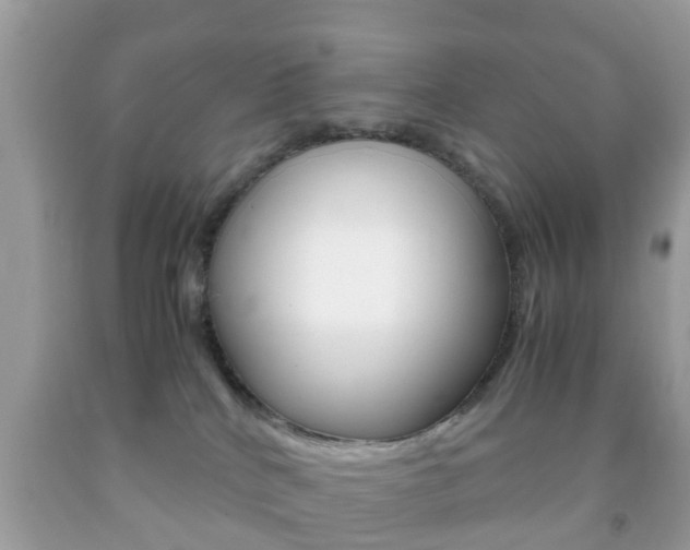 X0000092210040200709140910