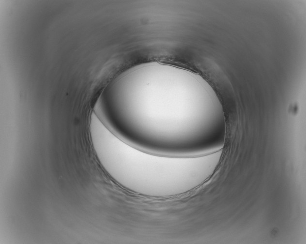 X0000092210041200709140910