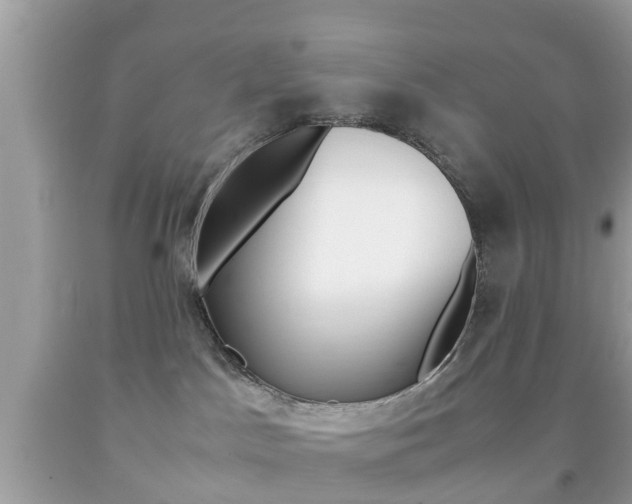 X0000092210045200709140910