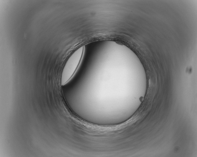 X0000092210048200709140910